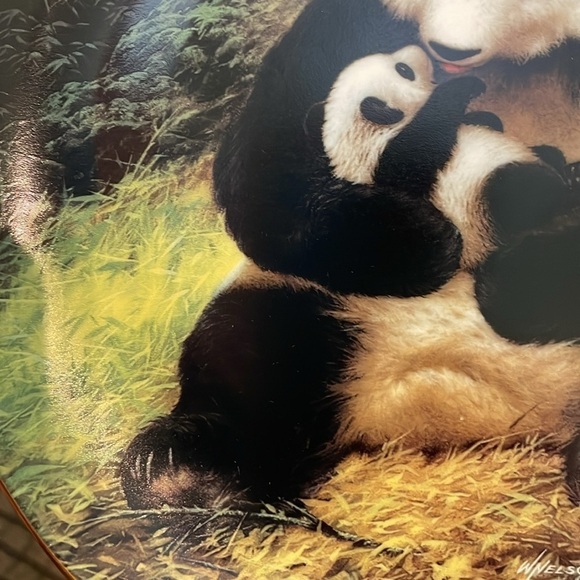 The Panda Will Nelson Vintage Last of Their Kind: The Endangered Species Plate - Picture 13 of 16